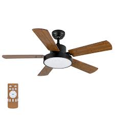 Ceiling Fans